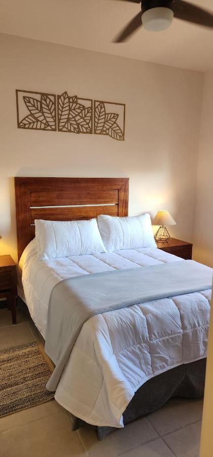 Suites Lomboy & Plaza San José del Cabo Zewnętrze zdjęcie